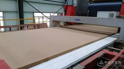 豐林木業(yè)18萬m/a中纖板首板順利下線!