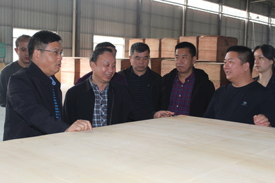 市林業(yè)局赴貴港、柳州等地開(kāi)展木材精深加工考察及招商引資活動(dòng)