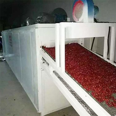 茶葉烘干機